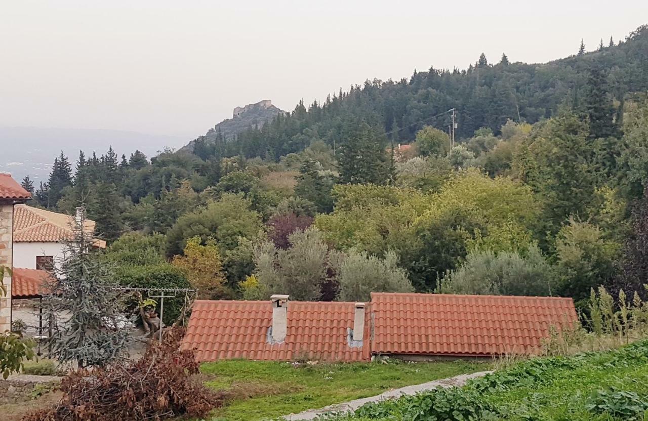 Luxury House In The Hills Pensionat Sparta Exteriör bild